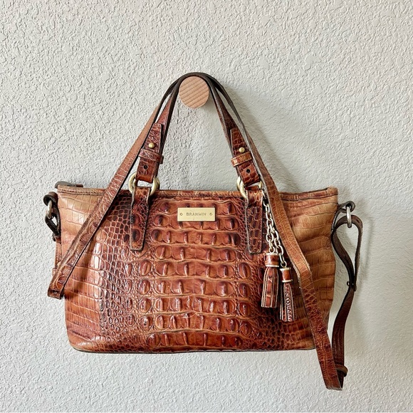 Brahmin Mini Asher Melbourne Embossed Leather Satchel Brown Bag